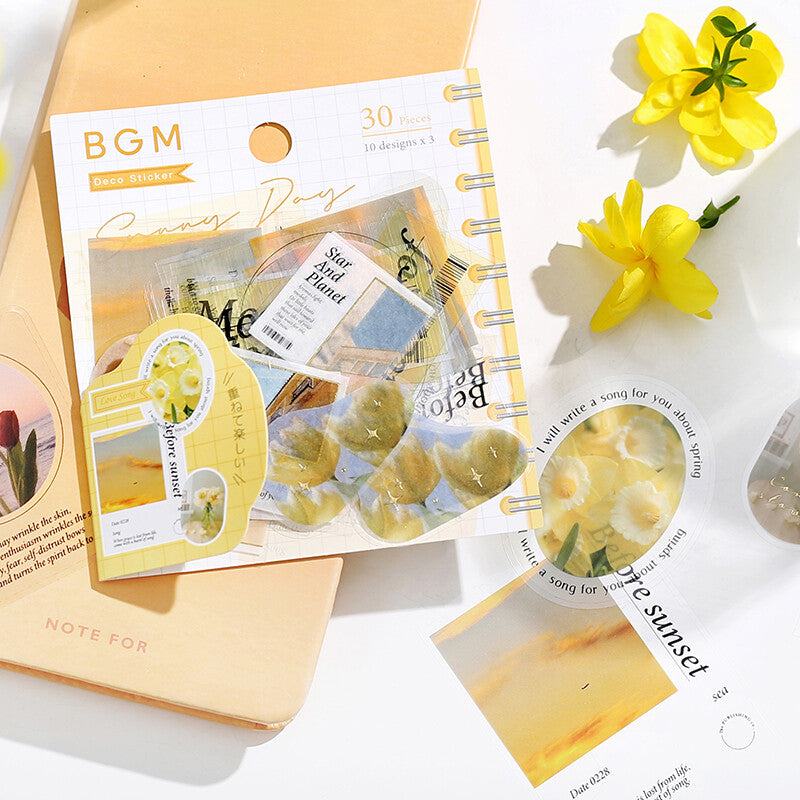 BGM Mix Seal Photo Flake Stickers - Sunny Day - Default Title by Techo Treats Stationery