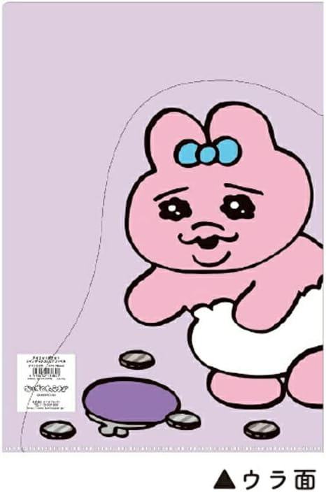 Panty Rabbit A4 Clear Folder with Die-cut Flap - Spaghetti - Techo Treats