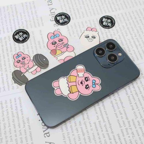 Panty Rabbit Mini Deco Sticker - Barbell - Techo Treats