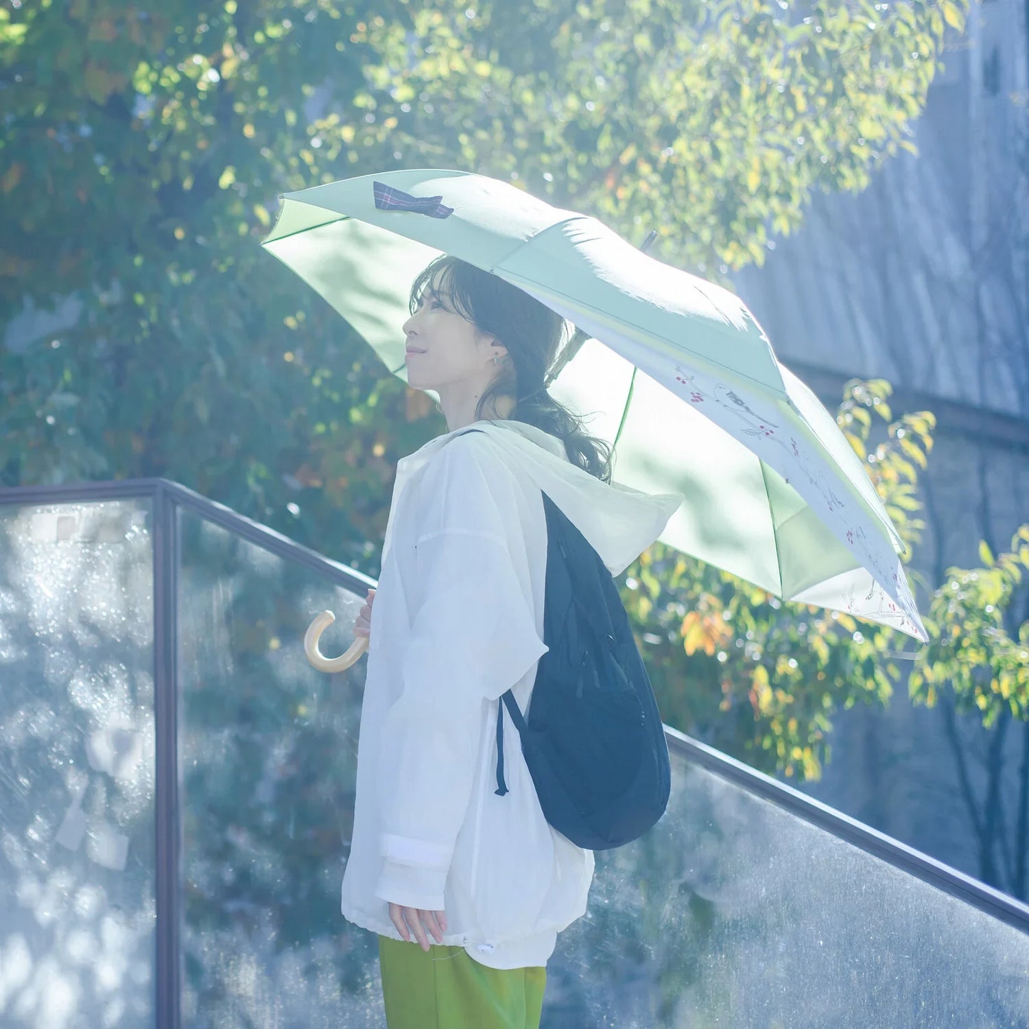 Shimaenaga Long-tailed Tit Black Slide Umbrella - 60cm - Techo Treats