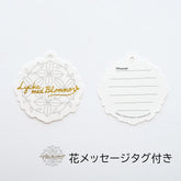 Shimaenaga Long-tailed Tit Long Umbrella (Black) - 60cm Windproof - Techo Treats