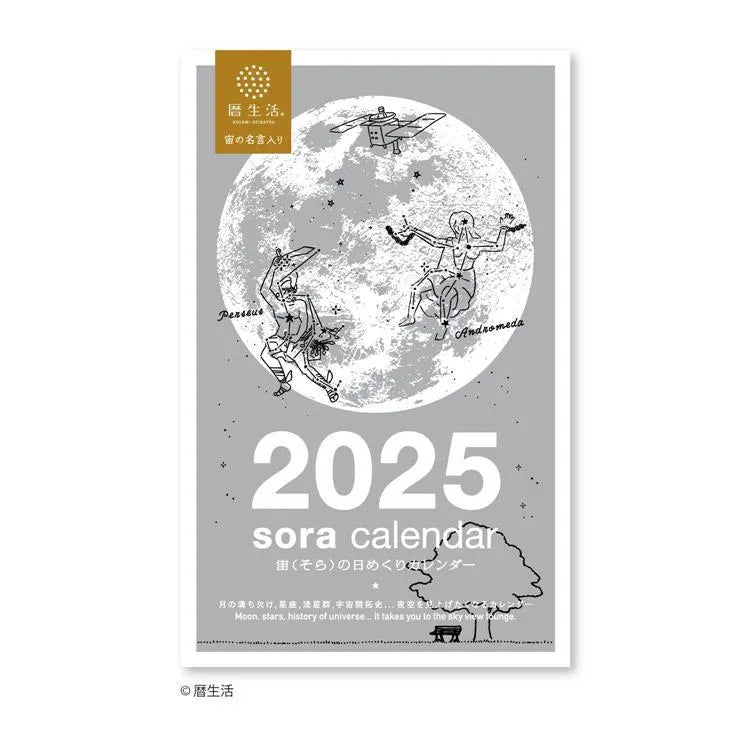 Sora 2025 Daily Calendar (Large) - Techo Treats