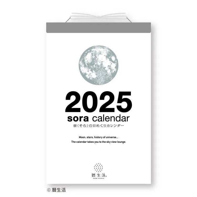 Sora 2025 Daily Calendar (Large) - Techo Treats