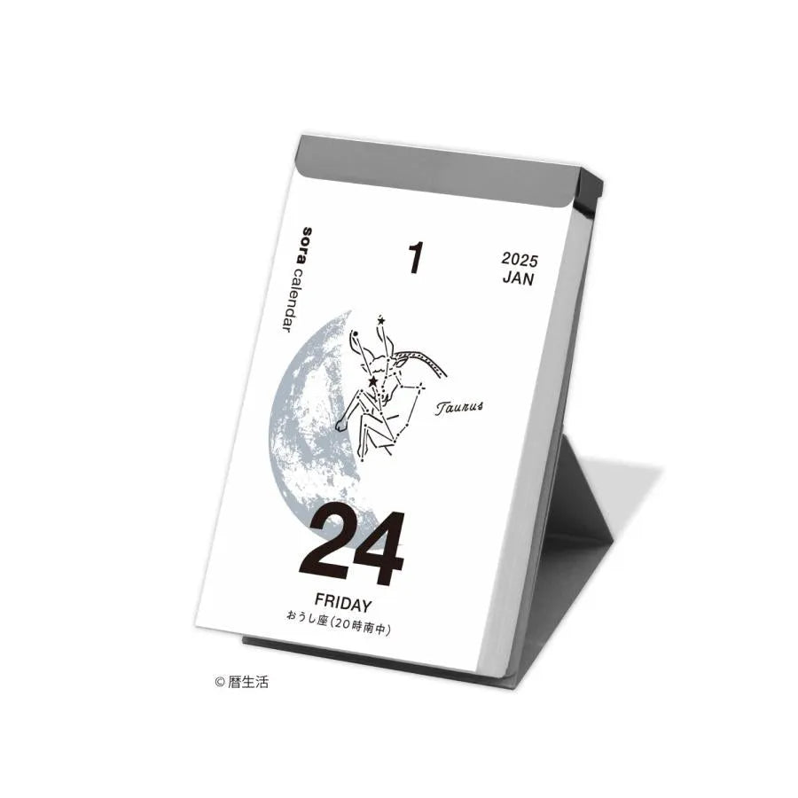 Sora 2025 Daily Calendar (Small) - Techo Treats