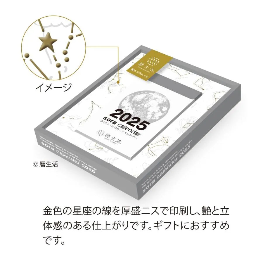 Sora 2025 Daily Calendar (Small) - Techo Treats