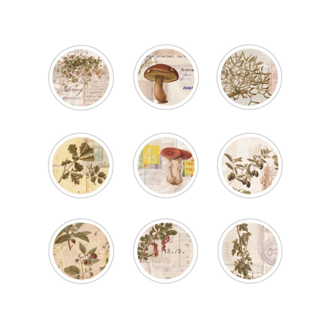 SUNNY SUNDAY Flake Stickers - Circle - Techo Treats