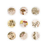 SUNNY SUNDAY Flake Stickers - Circle - Techo Treats