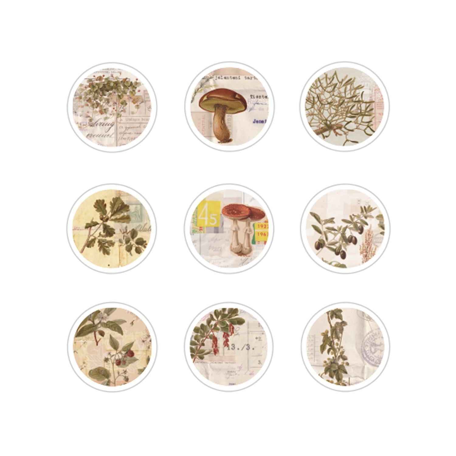 SUNNY SUNDAY Flake Stickers - Circle - Techo Treats