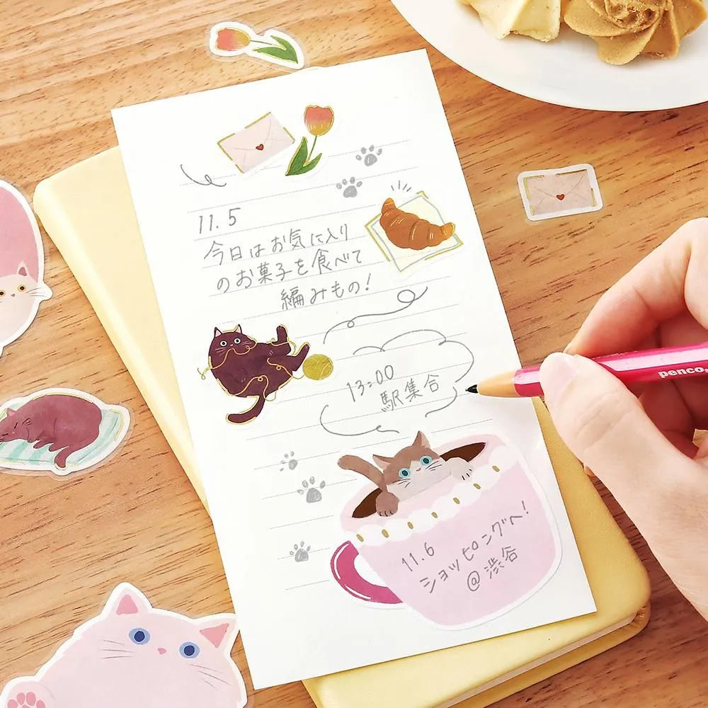 BGM Cat Diary Writable Memo Stickers - Pink