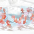 BGM Summer Limited Clear Tape 20mm - Goldfish Bowl - Default Title by Techo Treats Stationery