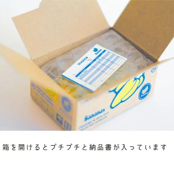 Box Seal - Banana - Techo Treats