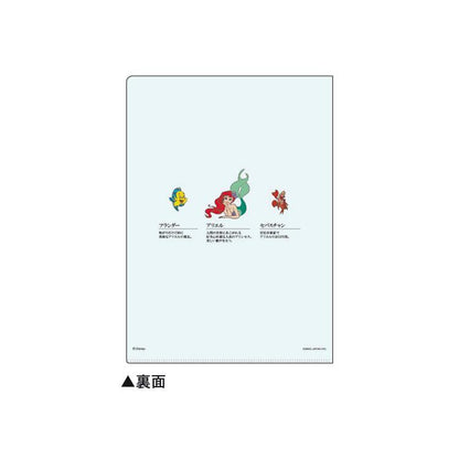 Encyclopaedia for Adults A5 Folder - The Little Mermaid - KAMIO JAPAN - Default Title by Techo Treats Stationery