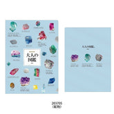 Encyclopaedia for Adults A5 Metallic Folder - Crystal - KAMIO JAPAN - Default Title by Techo Treats Stationery
