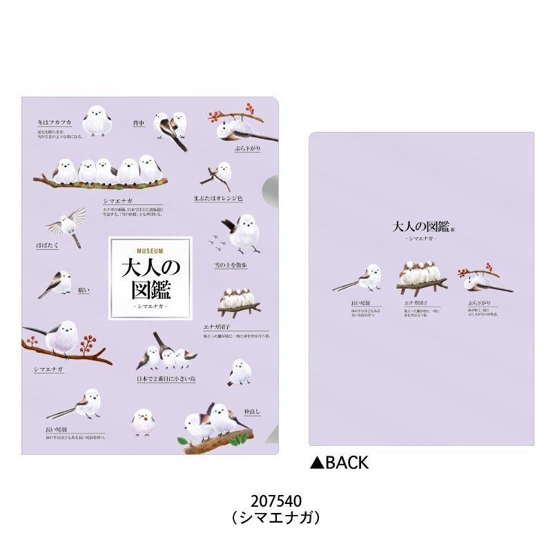 Encyclopaedia for Adults A5 Metallic Folder - Shimaenaga Long-tailed Tit - KAMIO JAPAN - Default Title by Techo Treats Stationery