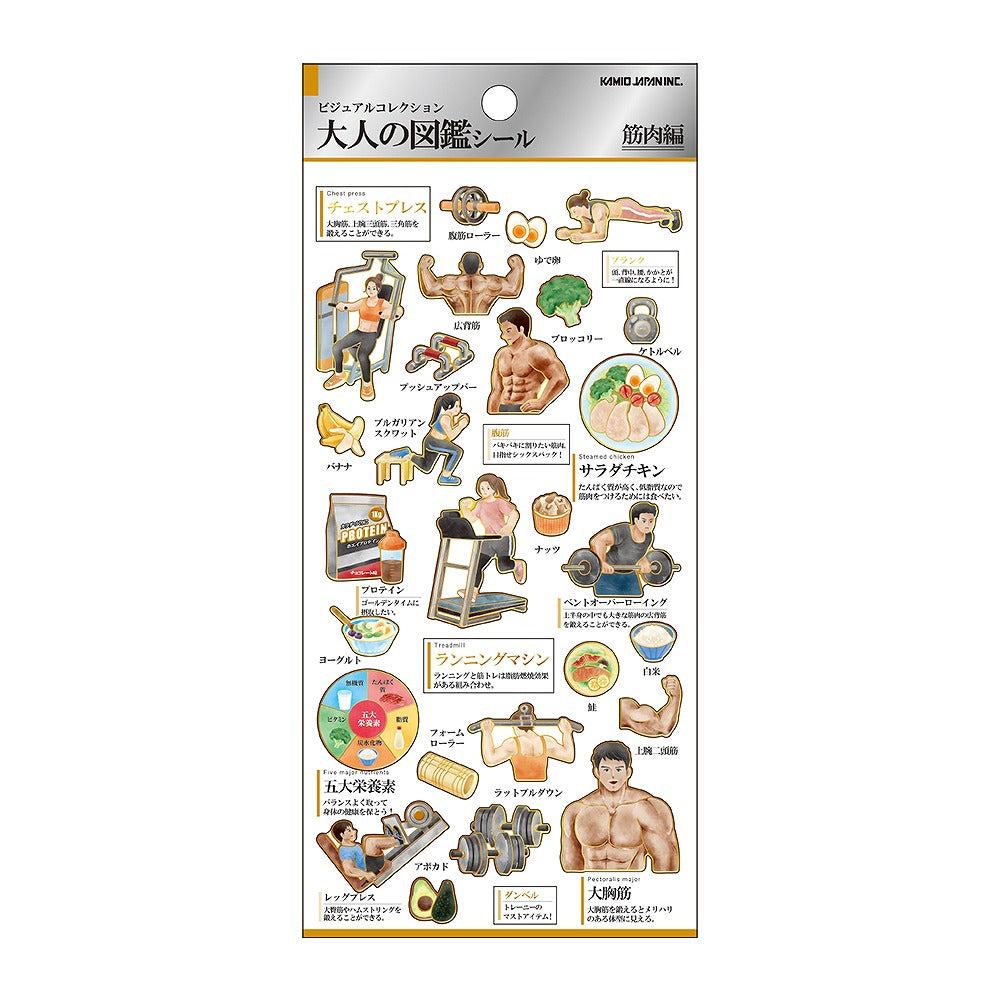 Encyclopaedia for Adults Sticker - Muscle - KAMIO JAPAN - Default Title by Techo Treats Stationery