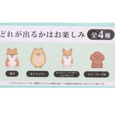 Encyclopaedia for Adults Toy Bath Ball - Dogs - KAMIO JAPAN - Default Title by Techo Treats Stationery