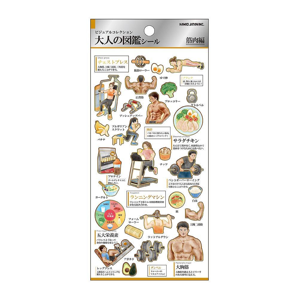 Encyclopedia for Adults Sticker - Muscle - Techo Treats