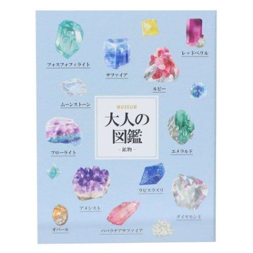 Encyclopedia for Adults Sticky Notes / Fusen - Crystal - Techo Treats