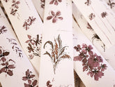 floral - Masking Tape with Release Paper (Washi / PET) - Techo Treats