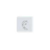 Pyokkori 3-in-1 Penetrating Stamp Vol.1 - Hedgehog - Sun-Star Stationery - Default Title by Techo Treats Stationery