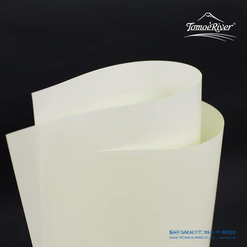 Tomoe River FP Loose Sheet - Sakae Technical Paper - White by Techo Treats Stationery