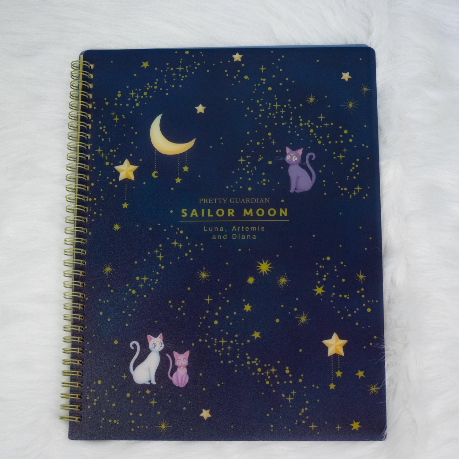 Sailor Moon 30th Anniversary Limited Series - A4 Hard Cover Ring Clear Folder (2 designs) - Sun-Star Stationery - Style B by Techo Treats Stationery
